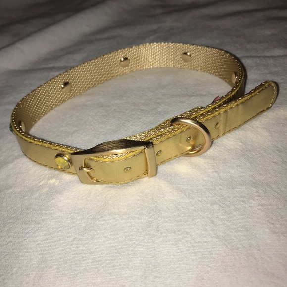 infinity stone dog collar